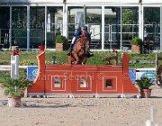 Bosio Zadiela Giovanili2013  S5 5505 : Arezzo Equestrian Centre, Bosio Camilla, Zadiela, foto di Stefano Secchi ©. Campionati Italiani Giovanili 2013