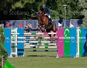 CALLERIO Darius Giovanili2013 S5 5728 : Arezzo Equestrian Centre, CALLERIO Niccolo, Darius van der Noverdel, foto di Stefano Secchi ©. Campionati Italiani Giovanili 2013