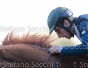 CALLERIO Darius Giovanili2013  S5 5094 : Arezzo Equestrian Centre, CALLERIO Niccolo, Darius van der Noverdel, foto di Stefano Secchi ©. Campionati Italiani Giovanili 2013