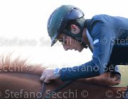 CALLERIO Darius Giovanili2013  S5 5095 : Arezzo Equestrian Centre, CALLERIO Niccolo, Darius van der Noverdel, foto di Stefano Secchi ©. Campionati Italiani Giovanili 2013