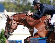 Campagnaro Rivage Giovanili2013  S5 4933 : Arezzo Equestrian Centre, Campagnaro Andrea, Rivage du Borda, foto di Stefano Secchi ©. Campionati Italiani Giovanili 2013