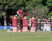 Carone Carlos Giovanili2013 S5 5671 : Arezzo Equestrian Centre, Carlos, Carone Giulio, foto di Stefano Secchi ©. Campionati Italiani Giovanili 2013