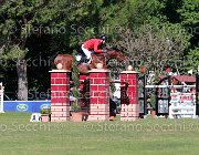 Carone Carlos Giovanili2013 S5 5672 : Arezzo Equestrian Centre, Carlos, Carone Giulio, foto di Stefano Secchi ©. Campionati Italiani Giovanili 2013