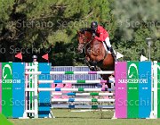 Carone Carlos Giovanili2013 S5 5673 : Arezzo Equestrian Centre, Carlos, Carone Giulio, foto di Stefano Secchi ©. Campionati Italiani Giovanili 2013