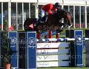 Carone Carlos Giovanili2013  S5 5131 : Arezzo Equestrian Centre, Carlos, Carone Giulio, foto di Stefano Secchi ©. Campionati Italiani Giovanili 2013