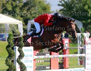 Carone Carlos Giovanili2013  S5 5133 : Arezzo Equestrian Centre, Carlos, Carone Giulio, foto di Stefano Secchi ©. Campionati Italiani Giovanili 2013