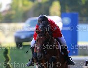 Carone Carlos Giovanili2013  S5 5135 : Arezzo Equestrian Centre, Carlos, Carone Giulio, foto di Stefano Secchi ©. Campionati Italiani Giovanili 2013