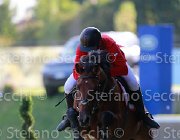 Carone Carlos Giovanili2013  S5 5136 : Arezzo Equestrian Centre, Carlos, Carone Giulio, foto di Stefano Secchi ©. Campionati Italiani Giovanili 2013