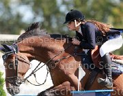 Cepollina Quirinus Giovanili2013  S5 4592 : Arezzo Equestrian Centre, Cepollina Nicole, Quirinus, foto di Stefano Secchi ©. Campionati Italiani Giovanili 2013
