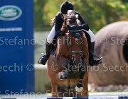 Cepollina Quirinus Giovanili2013  S5 4596 : Arezzo Equestrian Centre, Cepollina Nicole, Quirinus, foto di Stefano Secchi ©. Campionati Italiani Giovanili 2013
