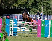 Ciriesi Alina Giovanili2013 S5 5776 : Alina, Arezzo Equestrian Centre, Ciriesi Francesca, foto di Stefano Secchi ©. Campionati Italiani Giovanili 2013