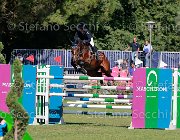 Ciriesi Alina Giovanili2013 S5 5777 : Alina, Arezzo Equestrian Centre, Ciriesi Francesca, foto di Stefano Secchi ©. Campionati Italiani Giovanili 2013