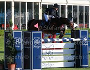 Ciriesi Alina Giovanili2013  S5 5152 : Alina, Arezzo Equestrian Centre, Ciriesi Francesca, foto di Stefano Secchi ©. Campionati Italiani Giovanili 2013