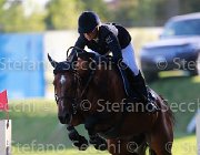 Ciriesi Alina Giovanili2013  S5 5157 : Alina, Arezzo Equestrian Centre, Ciriesi Francesca, foto di Stefano Secchi ©. Campionati Italiani Giovanili 2013