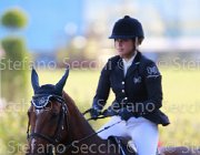 Ciriesi Alina Giovanili2013  S5 5159 : Alina, Arezzo Equestrian Centre, Ciriesi Francesca, foto di Stefano Secchi ©. Campionati Italiani Giovanili 2013