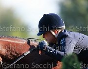 Ciriesi Alina Giovanili2013  S5 5160 : Alina, Arezzo Equestrian Centre, Ciriesi Francesca, foto di Stefano Secchi ©. Campionati Italiani Giovanili 2013
