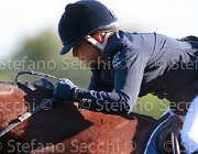 Ciriesi Alina Giovanili2013  S5 5161 : Alina, Arezzo Equestrian Centre, Ciriesi Francesca, foto di Stefano Secchi ©. Campionati Italiani Giovanili 2013