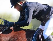 Ciriesi Alina Giovanili2013  S5 5162 : Alina, Arezzo Equestrian Centre, Ciriesi Francesca, foto di Stefano Secchi ©. Campionati Italiani Giovanili 2013