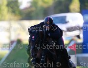 Coata Coreggio Giovanili2013  S5 5230 : Arezzo Equestrian Centre, Coata Luca, Coreggio, foto di Stefano Secchi ©. Campionati Italiani Giovanili 2013