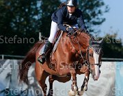 Codecasa Elient Giovanili2013  S5 5351 : Arezzo Equestrian Centre, Codecasa Elena, Elient, foto di Stefano Secchi ©. Campionati Italiani Giovanili 2013