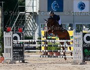 Codecasa Elient Giovanili2013  S5 5611 : Arezzo Equestrian Centre, Codecasa Elena, Elient, foto di Stefano Secchi ©. Campionati Italiani Giovanili 2013