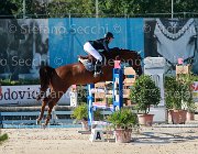 Codecasa Elient Giovanili2013  S5 5615 : Arezzo Equestrian Centre, Codecasa Elena, Elient, foto di Stefano Secchi ©. Campionati Italiani Giovanili 2013