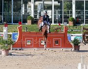 Codecasa Elient Giovanili2013  S5 5617 : Arezzo Equestrian Centre, Codecasa Elena, Elient, foto di Stefano Secchi ©. Campionati Italiani Giovanili 2013