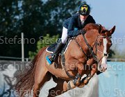 Colosimo Romeo Giovanili2013  S5 5331 : Arezzo Equestrian Centre, Colosimo Giulia, Romeo, foto di Stefano Secchi ©. Campionati Italiani Giovanili 2013