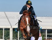 Colosimo Romeo Giovanili2013  S5 5334 : Arezzo Equestrian Centre, Colosimo Giulia, Romeo, foto di Stefano Secchi ©. Campionati Italiani Giovanili 2013
