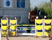 Colosimo Romeo Giovanili2013  S5 5337 : Arezzo Equestrian Centre, Colosimo Giulia, Romeo, foto di Stefano Secchi ©. Campionati Italiani Giovanili 2013