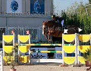 Colosimo Romeo Giovanili2013  S5 5338 : Arezzo Equestrian Centre, Colosimo Giulia, Romeo, foto di Stefano Secchi ©. Campionati Italiani Giovanili 2013