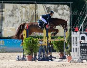 Colosimo Romeo Giovanili2013  S5 5587 : Arezzo Equestrian Centre, Colosimo Giulia, Romeo, foto di Stefano Secchi ©. Campionati Italiani Giovanili 2013