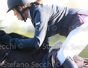 Francesco Wendy Giovanili2013  S5 5193 : Arezzo Equestrian Centre, De Francesco Giorgia, Wendy, foto di Stefano Secchi ©. Campionati Italiani Giovanili 2013