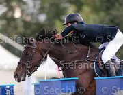 Franchi Garua Giovanili2013  S5 4839 : Arezzo Equestrian Centre, Franchi Guido, Garua, foto di Stefano Secchi ©. Campionati Italiani Giovanili 2013