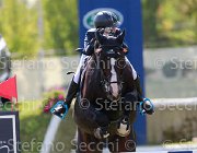 Franci Festo Giovanili2013  S5 4608 : Arezzo Equestrian Centre, Festo, Franci Camilla, foto di Stefano Secchi ©. Campionati Italiani Giovanili 2013