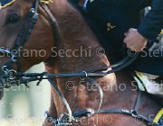 Garofalo Zyquita Giovanili2013  S5 5176 : Arezzo Equestrian Centre, Garofalo Giampiero, Zyquita, foto di Stefano Secchi ©. Campionati Italiani Giovanili 2013