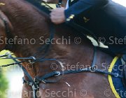 Garofalo Zyquita Giovanili2013  S5 5177 : Arezzo Equestrian Centre, Garofalo Giampiero, Zyquita, foto di Stefano Secchi ©. Campionati Italiani Giovanili 2013
