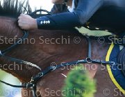 Garofalo Zyquita Giovanili2013  S5 5178 : Arezzo Equestrian Centre, Garofalo Giampiero, Zyquita, foto di Stefano Secchi ©. Campionati Italiani Giovanili 2013