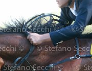Garofalo Zyquita Giovanili2013  S5 5179 : Arezzo Equestrian Centre, Garofalo Giampiero, Zyquita, foto di Stefano Secchi ©. Campionati Italiani Giovanili 2013
