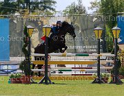 Grobberio Lady Giovanili2013  S5 4508 : Arezzo Equestrian Centre, Grobberio Sofia, New Forge Lady, foto di Stefano Secchi ©. Campionati Italiani Giovanili 2013