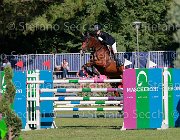 Guazzo Braise Giovanili2013 S5 5718 : Arezzo Equestrian Centre, Braise, Guazzo Olimpia, foto di Stefano Secchi ©. Campionati Italiani Giovanili 2013