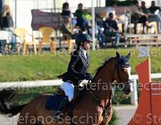 Marchese Wessel Giovanili2013  S5 5241 : Arezzo Equestrian Centre, Marchese Stella, Wessel, foto di Stefano Secchi ©. Campionati Italiani Giovanili 2013