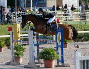 Marchese Wessel Giovanili2013  S5 5243 : Arezzo Equestrian Centre, Marchese Stella, Wessel, foto di Stefano Secchi ©. Campionati Italiani Giovanili 2013