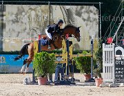 Marchese Wessel Giovanili2013  S5 5488 : Arezzo Equestrian Centre, Marchese Stella, Wessel, foto di Stefano Secchi ©. Campionati Italiani Giovanili 2013