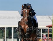 Martinoli Watricia Giovanili2013  S5 5401 : Arezzo Equestrian Centre, Martinoli Ginevra, Watricia, foto di Stefano Secchi ©. Campionati Italiani Giovanili 2013