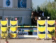 Martinoli Watricia Giovanili2013  S5 5404 : Arezzo Equestrian Centre, Martinoli Ginevra, Watricia, foto di Stefano Secchi ©. Campionati Italiani Giovanili 2013
