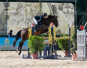 Martinoli Watricia Giovanili2013  S5 5651 : Arezzo Equestrian Centre, Martinoli Ginevra, Watricia, foto di Stefano Secchi ©. Campionati Italiani Giovanili 2013