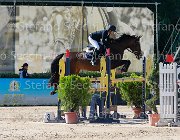 Martinoli Watricia Giovanili2013  S5 5652 : Arezzo Equestrian Centre, Martinoli Ginevra, Watricia, foto di Stefano Secchi ©. Campionati Italiani Giovanili 2013