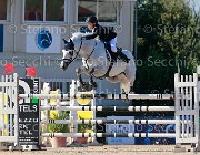 Mosca Bikkel Giovanili2013  S5 5408 : Arezzo Equestrian Centre, Bikkel, Mosca Valerio, foto di Stefano Secchi ©. Campionati Italiani Giovanili 2013