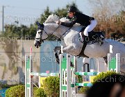 Mosca Bikkel Giovanili2013  S5 5411 : Arezzo Equestrian Centre, Bikkel, Mosca Valerio, foto di Stefano Secchi ©. Campionati Italiani Giovanili 2013